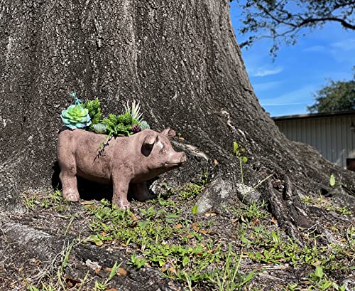 Zeckos Pig Planter 17 Inch Rustic Brown Smiling Garden Pot | Magnesium Oxide, Weather-Resistant, 8 by 5 by 5 Inch Interior for Succulents, Herbs, Or Grasses - color: Pig - Brown