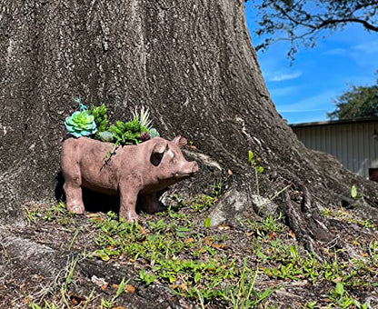 Zeckos Pig Planter 17 Inch Rustic Brown Smiling Garden Pot | Magnesium Oxide, Weather-Resistant, 8 by 5 by 5 Inch Interior for Succulents, Herbs, Or Grasses - color: Pig - Brown