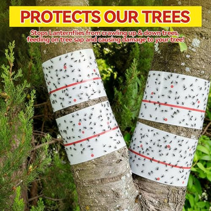 15 Rolls Sticky Fly Trap 30 ft Each, White - color: White