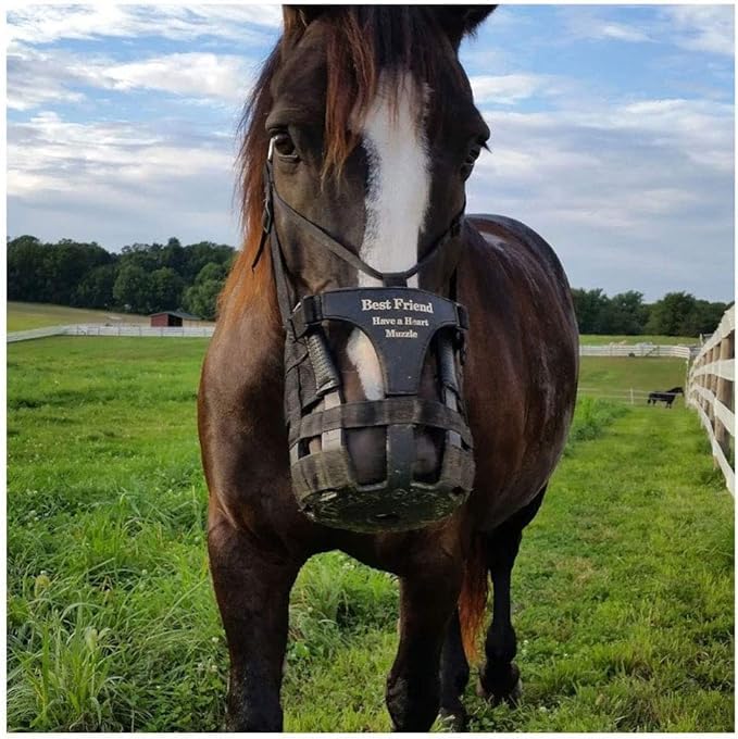 Best Friend Have A Heart Muzzle Cob - size: Cob