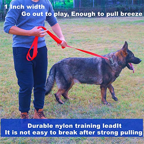 Strong Durable Nylon Dog Training Leash, 1 Inch Wide Traction Rope, 6 ft 10ft 15ft Long, for Small and Medium Dog (Brown, 6 Feet) - color: Brown, size: 6 Feet