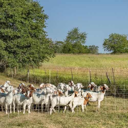 Premier 1 ElectroStop® Pro, PrimaPosts™ – Sheep & Goats – 42"H x 164'L | Green/white. Rigid PrimaPosts™ & braided conductors. For sheep & goats. Keeps out coyotes & dogs. Energizer sold separately. - color: Green/White