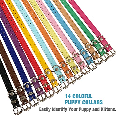 Puppy Collar for Litter Adjustable Leather ID Collars for Puppy Small Dog - size: S(Neck:6''~13'')