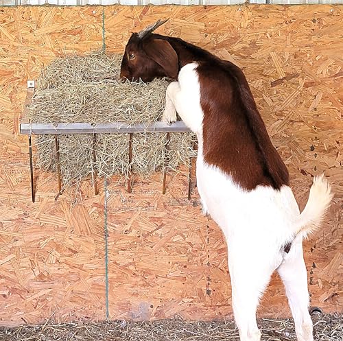 24 Inch Wall Mounted Sheep & Goat Two Flake Hay Feeder USA Texas Made Quality Aluminum