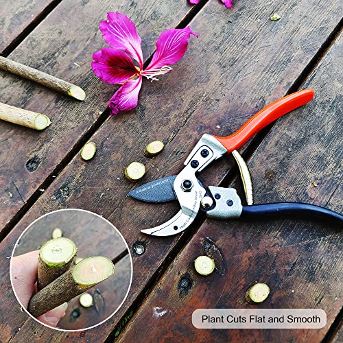TONMA Anvil Pruning Shears [Made in Japan] Professional 8 Inch Heavy Duty Garden Shears Secateurs with Ergonomic Handle, Hand Pruners Gardening Hedge Trimmer Branch Clippers for Plants - style: Anvil Pruning Shears (Orange)