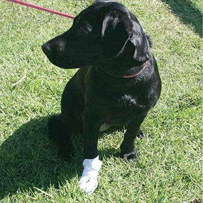 Wound Recovery Dog Boots 8-Pack by Nooby's. Protects Wounds, Bandages and Medications. Medical Dog Boots for Maximum Protection Indoors and During Short Walks. (Small: 1.75" - 2.5" Width) - size: SM: Width 1.75" - 2.5"