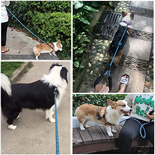 MayPaw Heavy Duty Rope Dog Leash, 3/4/5/6/7/8/10/12/15 FT Nylon Pet Leash, Soft Padded Handle Thick Lead Leashes for Large Medium Dogs (Blue Black, 1/2" * 10') - color: blue black, size: 1/2" * 10'