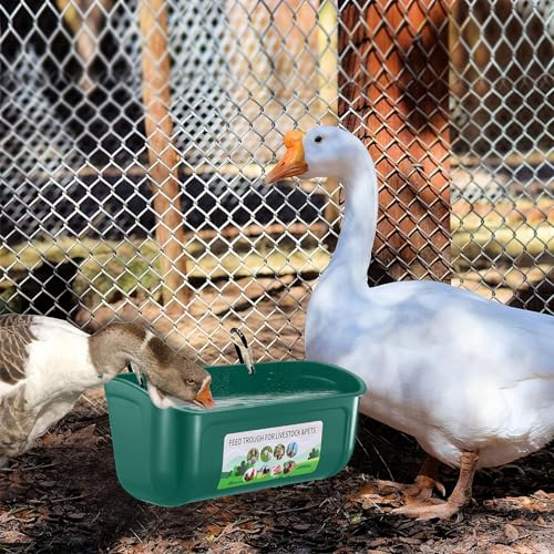 Chicken Feeder Waterer, 3 Pack Duck Feeder Supplies, Hanging Fence Feed Trough with Clips for Goat, Sheeple, Piglet, Gooses, Turkeys, Dog Livestock Poultry,Green - color: 3 pack Green