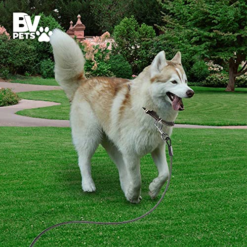 BV Dog Tie Out Cable 25 Feet - Heavy Duty Dog Lead Up to 250 Pounds - Reflective & Rust-Free with Quick Release Swivel Clips & 360° Rotating Clasp - Tangle-Free Dogs Runner for Yard (Grey, Single) - color: 250lbs/ 25ft/ Grey, style: Single