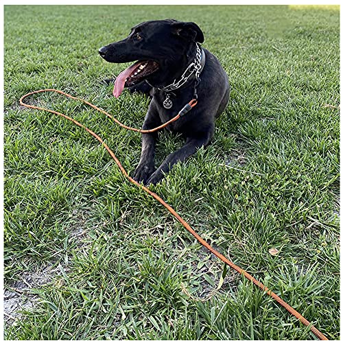 20FT Dog Tie-Out Rope + Bungee Dog Leash Extension