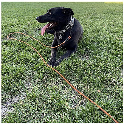 20FT Dog Tie-Out Rope + Bungee Dog Leash Extension
