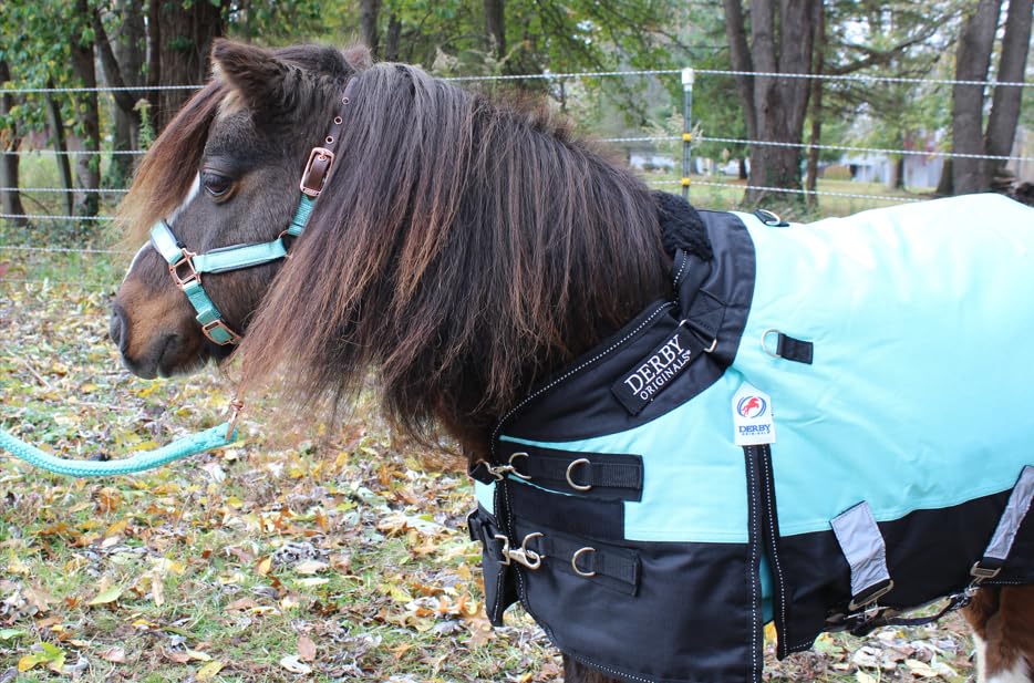 Derby Originals Nordic-Tough 1200D Heavyweight Mini Horse & Pony Turnout Blanket – Waterproof, Reflective, 300g Insulation, Triple-Layer Design, 210T Lining, 2-Year Warranty