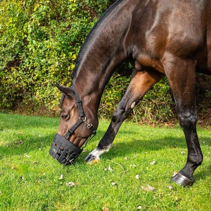 Best Friend Deluxe Grazing Muzzle with Attached Halter for Horses - Ventilated, Lightweight with Padded Noseband, Control Food Intake, Mini Size - size: Mini