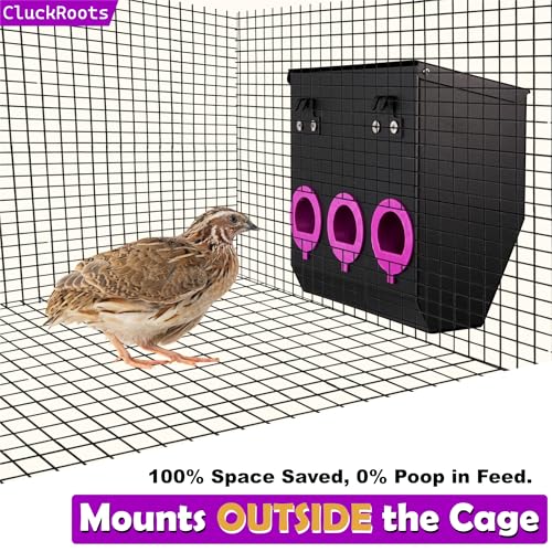 CluckRoots No Waste Quail Feeder, 3 x 1.5'' Ports for Adult Coturnix Quail - size: 8 Inch