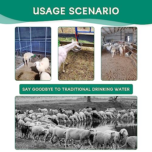 Automatic Goat Sheep Waterer Bowl with Copper Touch Valve,Stainless Steel - color: SILVER