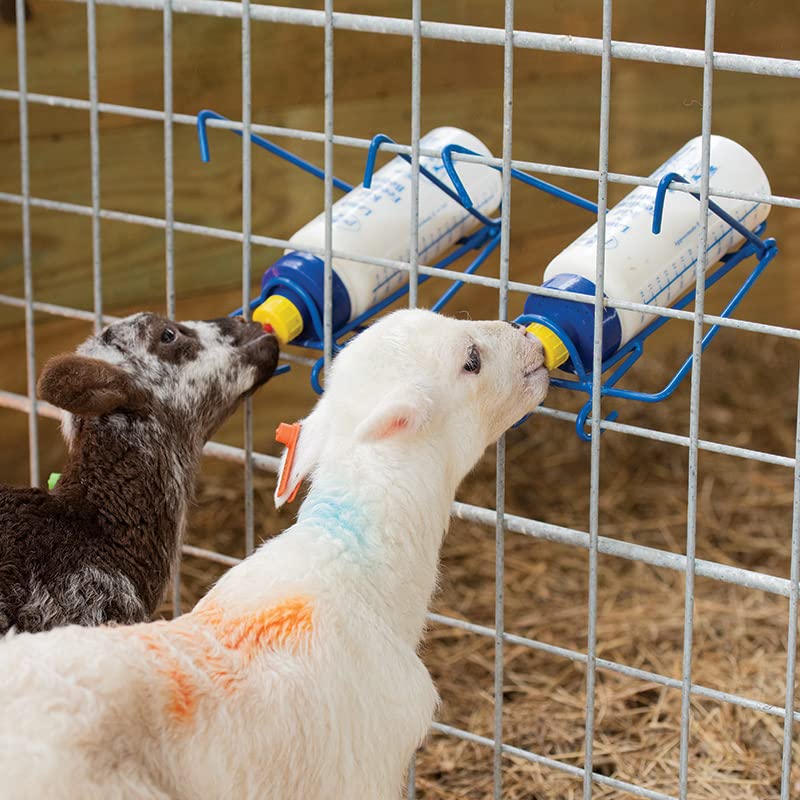 Premier 1 Wide Mouth Lamb 'N' Kid Feeding Bottle Rack