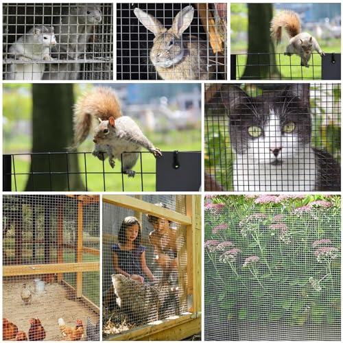 Black Hardware Cloth 20'' x 20' PVC Steel Vinyl Coated 1/2 inch Galvanized Wire Mesh Roll (19 GA) Chicken Wire Fence Roll, for coop Fences,Screen mesh, Rabbit/Snake Fences, Poultry enclosures, etc. - color: 19(GA)-1/2inch, size: 20In x 20Ft
