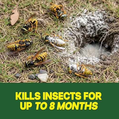 Raid Outdoor Wasp Ground Nest Killer, Dust Insecticide for Outside Household Use, Wasp Killer, Fast-Working and Odorless, 24 Oz