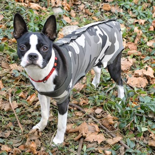 Dog Recovery Suit Abdominal Wound Puppy Surgical Clothes Post-Operative Vest Pet After Surgery Wear Substitute E-Collar & Cone(M, Camouflage) - color: Camouflage, size: Medium (Pack of 1)