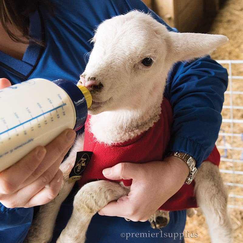 Premier 1 Lamb 'N' Goat Kid Wide-Mouth Feeding Bottle (Bottle Only) - style: Bottle Only