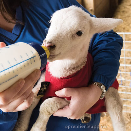 Premier 1 Lamb 'N' Goat Kid Wide-Mouth Feeding Bottle (Bottle Only) - style: Bottle Only