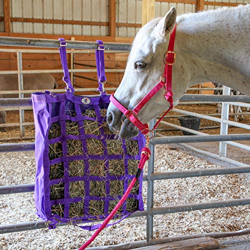 Majestic Ally Halter with Lead Rope for Horses–Adjustable Chin and Crown–Rolled Throat Latch with Replaceable Snap–Padded Noseband–Heavy Duty Rose Gold Finish Hardware - color: Hunter Green