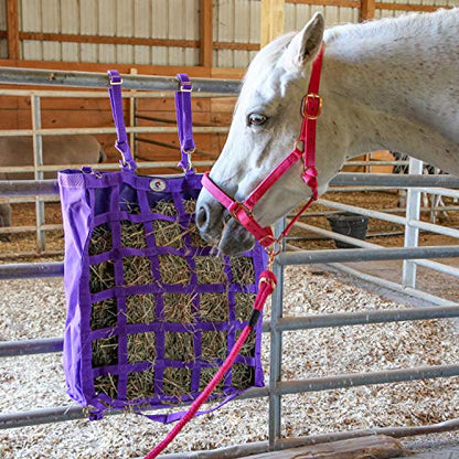 Majestic Ally Halter with Lead Rope for Horses–Adjustable Chin and Crown–Rolled Throat Latch with Replaceable Snap–Padded Noseband–Heavy Duty Rose Gold Finish Hardware - color: Hunter Green