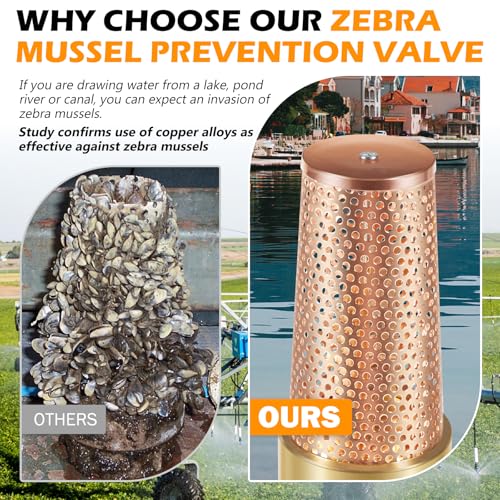 2 Inch Foot Valve for Irrigation Pump, One-Way With ZEBRA MUSSEL Strainer | No-Lead Brass Foot Valve