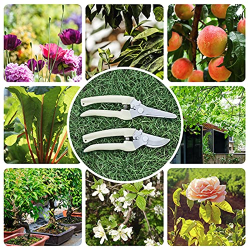 Premium garden shears, meperez pruning scissors gardening tools, pruners for flower, bushes, rose and fruit tree, use for florist, yard and orchard the plant clippers, sharp white steel anvil snips, 2 - style: Japanese