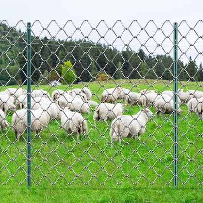 VEVOR 5 Feet Fence Post, 10 Pack U-Channel Heavy Duty Metal Fence Posts with 30 Zip Ties & 20 Clips, Sturdy Steel Fence Stakes for Garden Yard, Lawn, Farms and Outdoor Wire Fencing, Green - size: 5 Feet 10 Pack