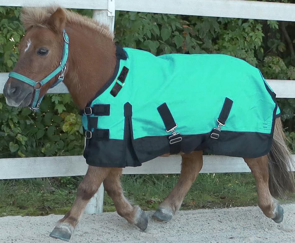 Foal/Mini 1200 Denier Adjustable Neck Waterproof Turnout Sheet - color: Teal