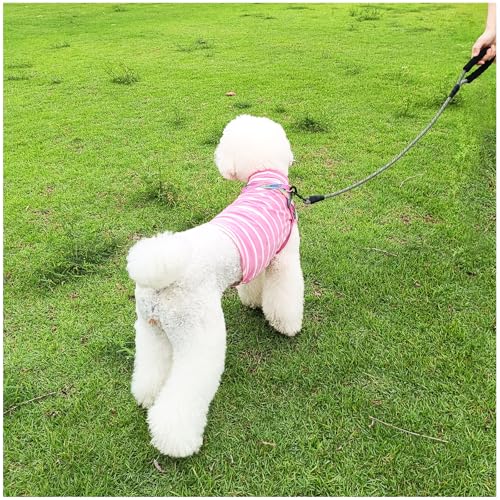 MayPaw Heavy Duty Rope Dog Leash, 3/4/6/7/8/10/12/15/20/30 FT Nylon Pet Leash, Soft Padded Handle Thick Lead Leashes for Large Medium Dogs (Black, 1/2" * 4') - color: black, size: 1/2" * 4'