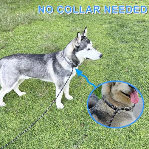 12FT 20FT Anti-Choking Long Training Lead, Reflective 3/8" Slip Lead Rope Dog Leash with Padded Handle, No Pull Leash for Medium Large Dogs (20ft, Black) - color: Black, size: 3/8in x 20ft