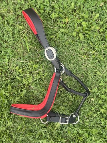 Leaders Padded Curved Leather Halter with Customized Engraved Name Plate Ergonomic Leather Halter for Horses - size: Horse Size Black/Red