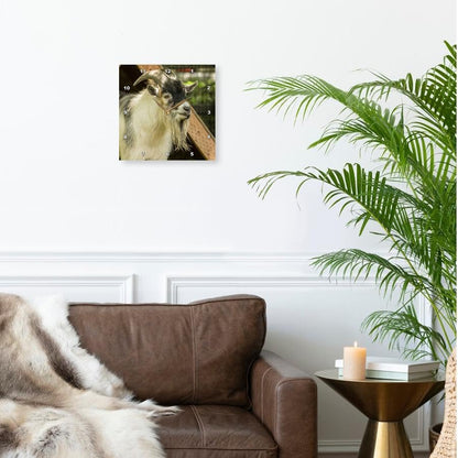 3dRose Adult African Pygmy Goat. 10x10 Wall Clock