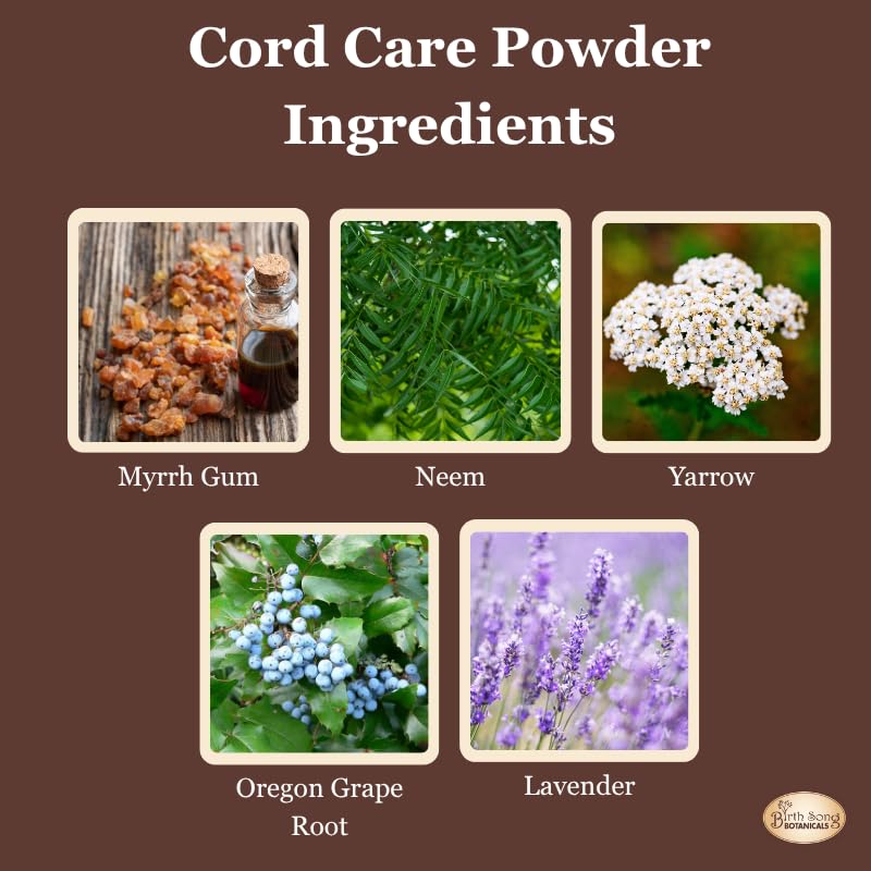 Birth Song Botanicals Herbal Cord Care Powder, Newborn Umbilical Cord Care, Postpartum Essential Gift for New Moms 0.2 oz