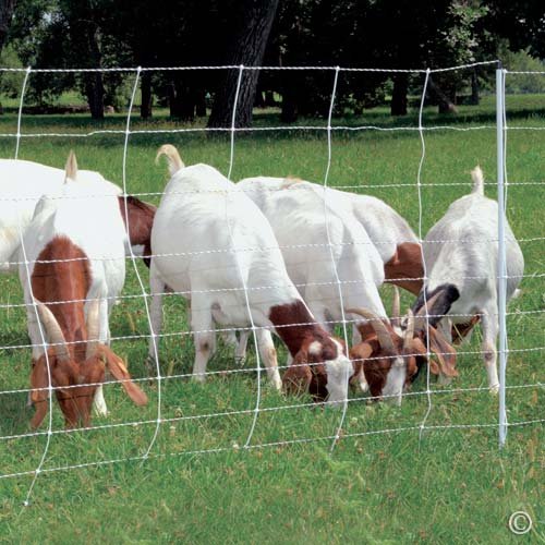 Premier 1 ElectroStop® Double Spike Fence – Sheep & Goats – 42"H x 164'L