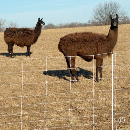 Premier 1 ElectroStop® Double Spike Fence – Sheep & Goats – 42"H x 164'L