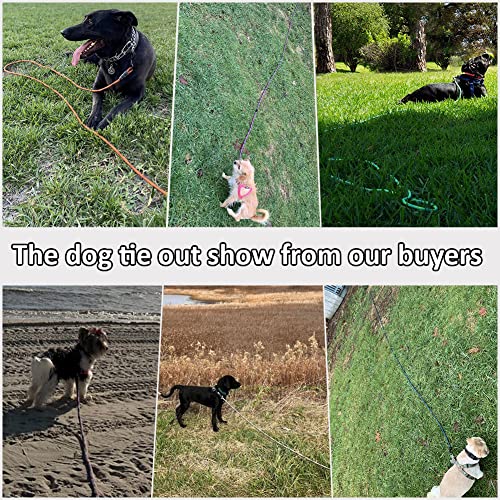 50FT Dog Tie-Out Rope + Bungee Dog Leash Extension