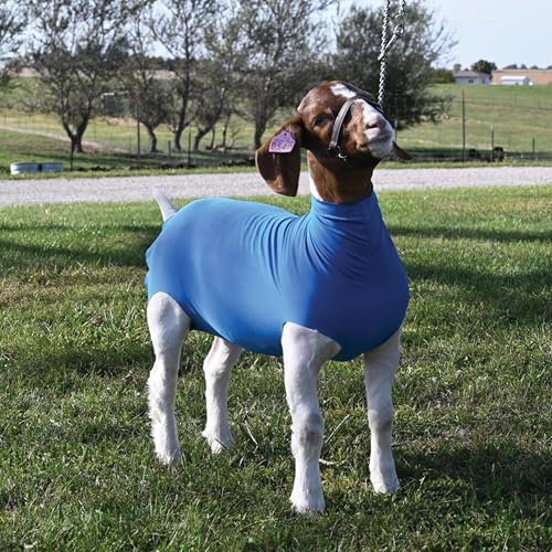 Weaver Livestock Spandex Goat Tube - size: Small, style: Blue