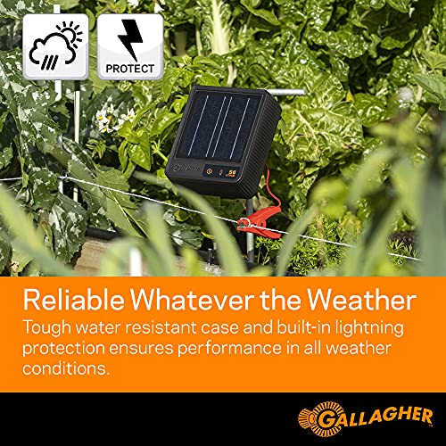 S6 Solar Fence Charger with 3/32" x 656' Turbo Wire | Solar-Powered Energizer with 656 ft High-Conductivity Fence Wire | Ideal for Gardens, Paddocks, and Livestock Containment