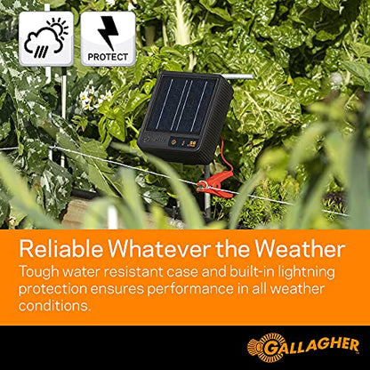 Gallagher S6 Solar Energizer Bundle with 1312ft Polywire | Electric Fence Starter Bundle
