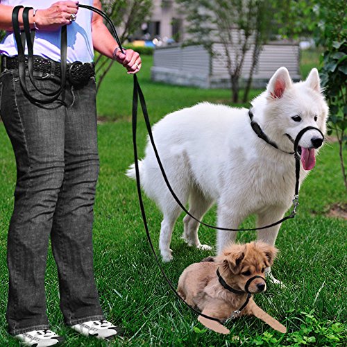 BARKELSS Gentle Dog Head Collar, Adjustable Padded Dog Halter | Dog Halter to Stop Pulling, Soft and Safety Control on Walks, Includes 1 Leash, Training Guide for Breeds - size: L