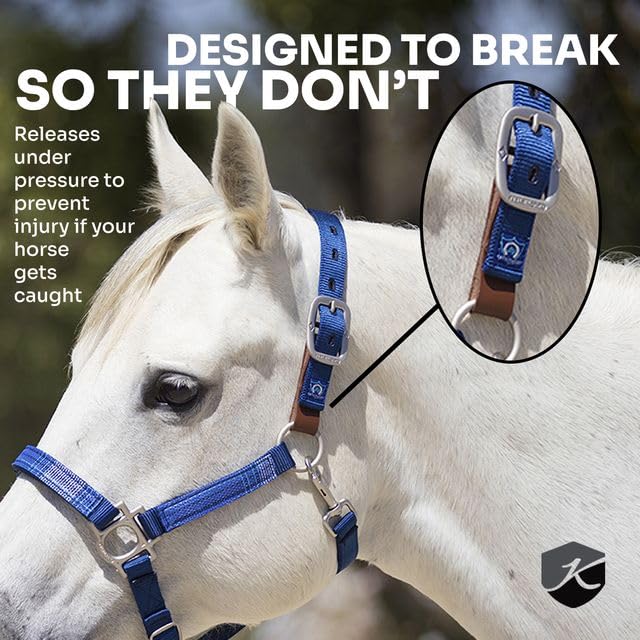 Kensington Premium Breakaway Halter with Padded Nose — Added Breakaway Safety Measures — Snap at Throat for Identical Fit Each Time - color: 2021 - Atlantis, size: X-Large