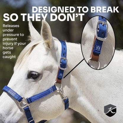 Kensington Premium Breakaway Halter with Padded Nose — Added Breakaway Safety Measures — Snap at Throat for Identical Fit Each Time - color: 2019 - Imperial Jade, size: Large