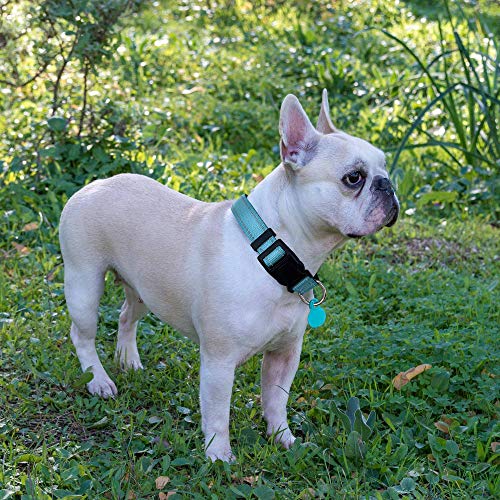 Ladoogo Reflective Dog Collar Padded with Soft Neoprene Breathable Adjustable Nylon Dog Collars for Small Medium Large Dogs (Medium (Pack of 1), Turquoise Collar+Leash) - color: Turquoise, size: Medium