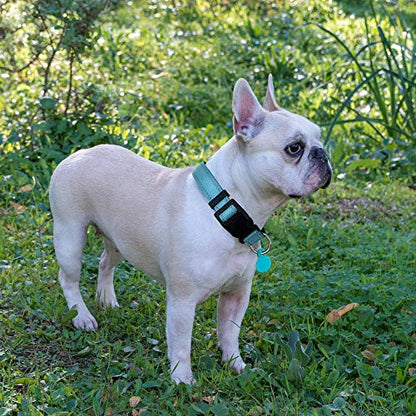 Ladoogo Reflective Dog Collar Padded with Soft Neoprene Breathable Adjustable Nylon Dog Collars for Small Medium Large Dogs (X-Small (Pack of 1), Turquoise Collar+Leash) - color: Turquoise, size: X-Small