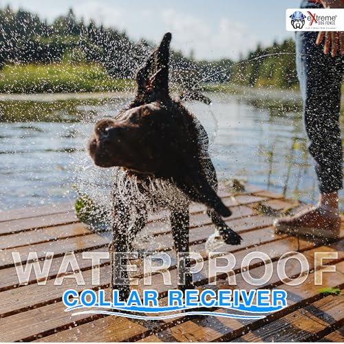 Underground Electric Dog Fence Kit, Pro Grade, 1-Dog, 500 ft, DIY Install - size: 500 ft