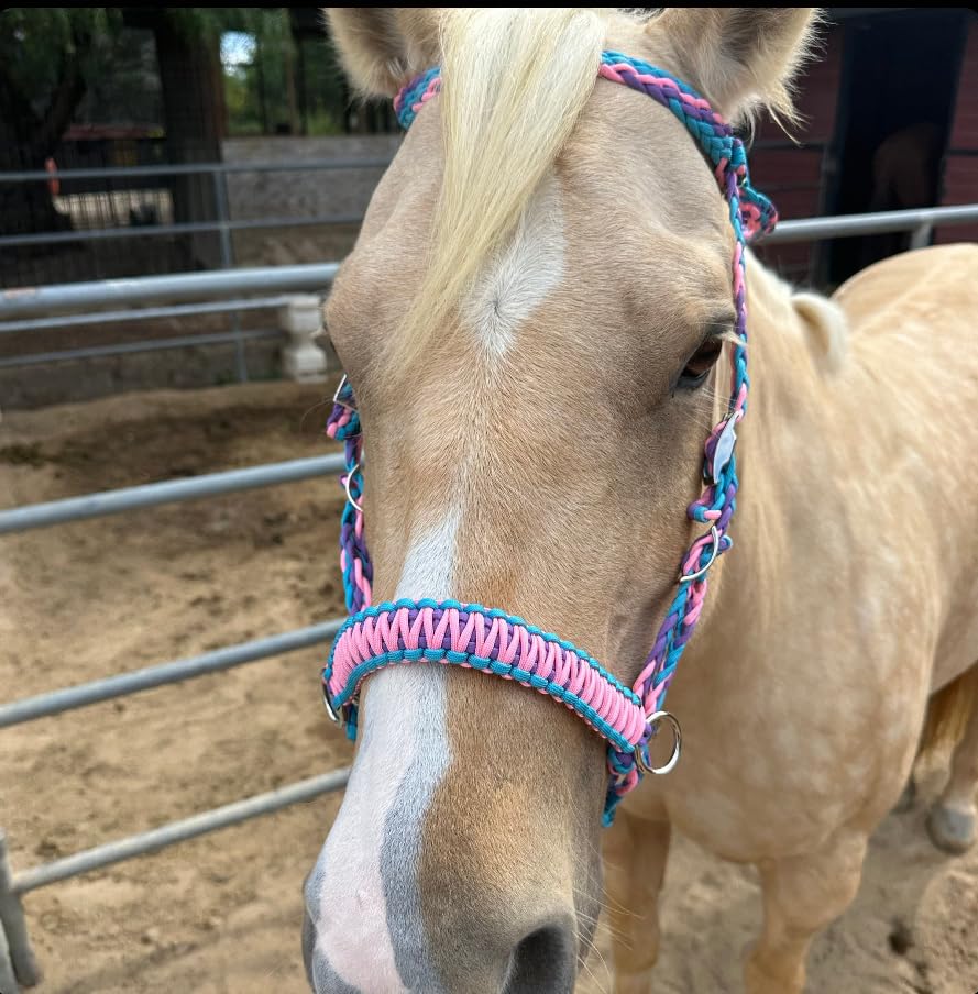 pony bitless bridle horse tack side pull hackamore light pink lilac and turquoise in small pony and large pony size