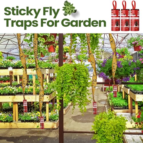 Qualirey 80 Pack Fly Strips Sticky Fly Trap Indoor Outdoor Hanging Ribbon Tape Paper Flying Insect Trap Gnat Killer Traps Catcher for Fruit Flies, Bug, Insect, Pest (Red) - color: Red